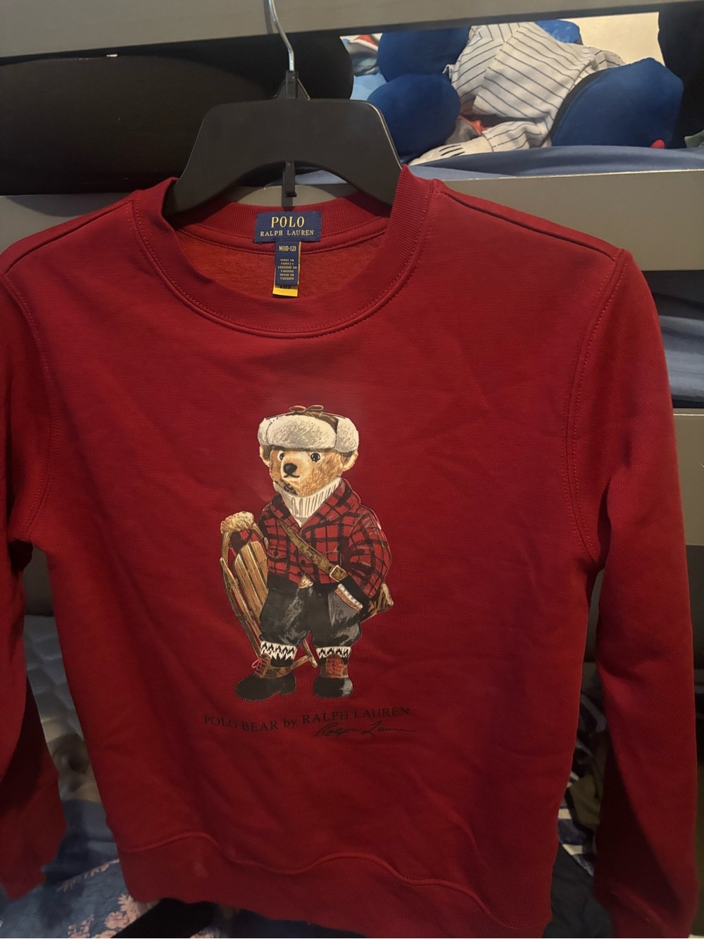 Polo by Ralph Lauren Kids Crimson Bear Graphic Sweatshirt